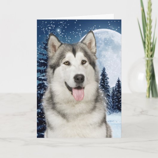 Carte de Noël Husky (Devant)