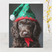 Carte de Noël Irlandais Eau Spaniel Elf Chiot (Fleur jaune)