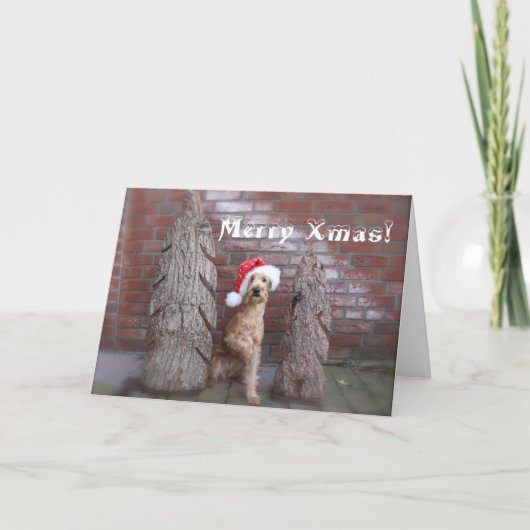 Carte de Noël « irlandais terriers " (Devant)