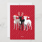Carte de Noël Italienne Greyhounds Apat (Dos)