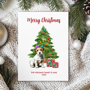 Carte de Noël Jack Russel Terrier