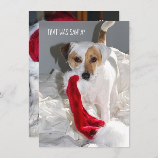 Carte de Noël Jack Russell (Devant / Derrière)