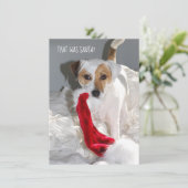 Carte de Noël Jack Russell (Debout devant)