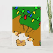 Carte de Noël Jingle Claws Drôle de Chat Design (Devant)