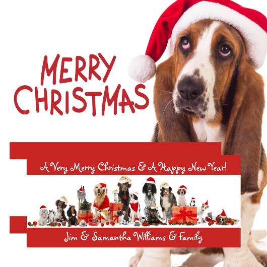 Carte de Noël Joyeux Amoureux de les chiens