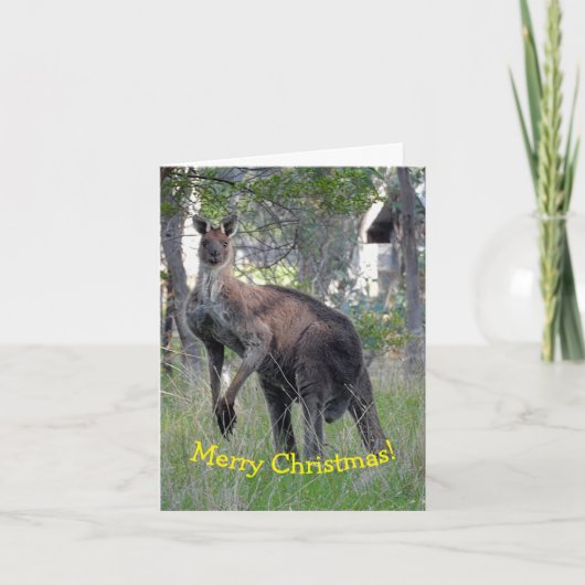 Carte de Noël - Kangourou (Devant)