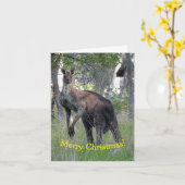 Carte de Noël - Kangourou (Fleur jaune)