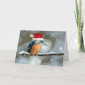 Carte de Noël Kingfisher (Devant)