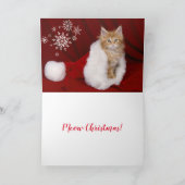 Carte de Noël Kitten (Intérieur)
