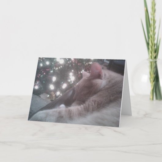 Carte de Noël Kitty (Devant)