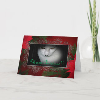 Carte de Noël Kitty Lovers !