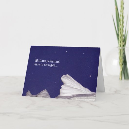 Carte de Noël - Krenta Snaiges (Devant)