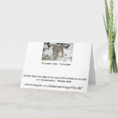 Carte de Noël - lynx sibérien (Dos)