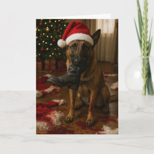 Carte de Noël Malinois belge mangeant le Père Noël