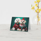 Carte de Noël Maltais Terriers (Fleur jaune)