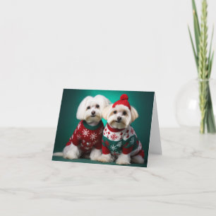 Carte de Noël Maltais Terriers