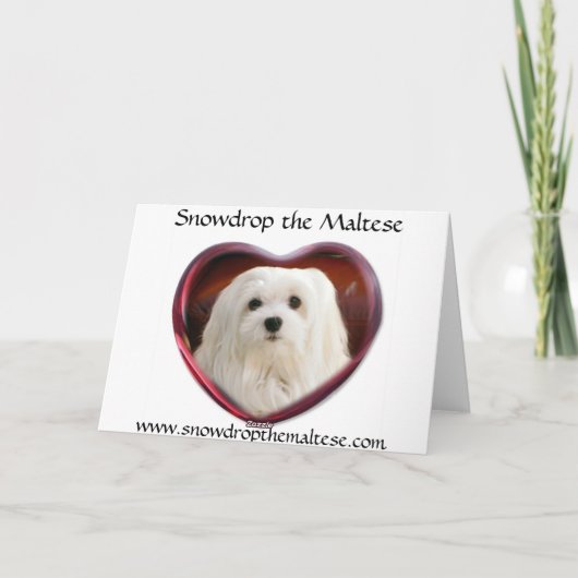 Carte de Noël maltaise (Dos)