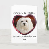 Carte de Noël maltaise (Dos)