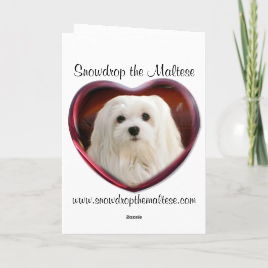 Carte de Noël maltaise (Dos)