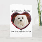 Carte de Noël maltaise (Dos)