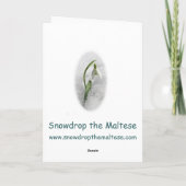 Carte de Noël maltaise (Dos)