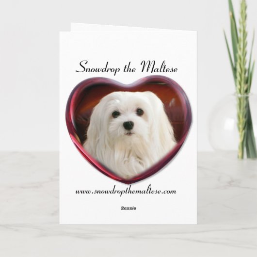 Carte de Noël maltaise (Dos)