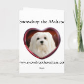 Carte de Noël maltaise (Dos)