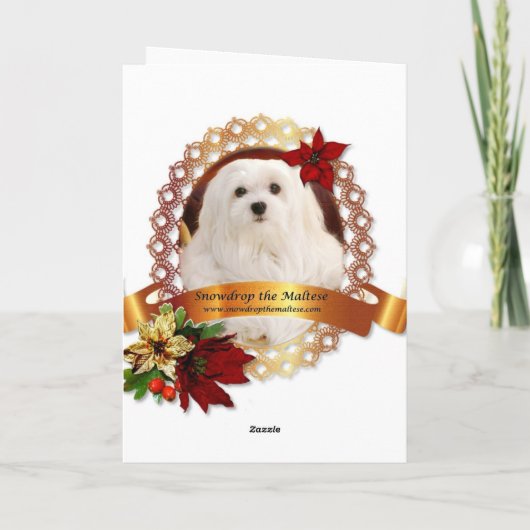 Carte de Noël maltaise (Dos)