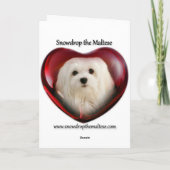 Carte de Noël maltaise (Dos)