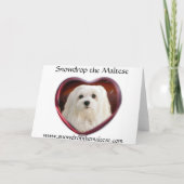 Carte de Noël maltaise (Dos)