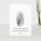 Carte de Noël maltaise (Dos)