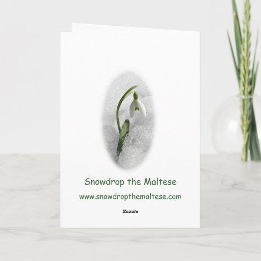 Carte de Noël maltaise (Dos)