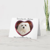 Carte de Noël maltaise (Dos)