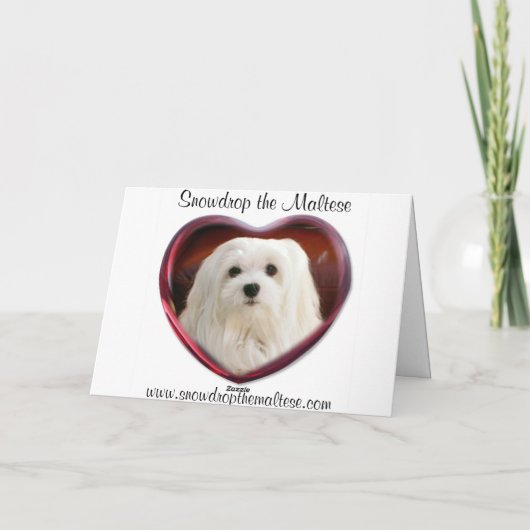 Carte de Noël maltaise (Dos)