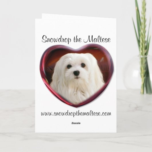 Carte de Noël maltaise (Dos)