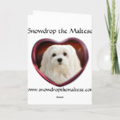 Carte de Noël maltaise (Dos)