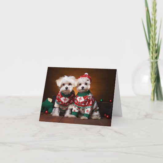 Carte de Noël Maltese Terrier Puppies (Devant)