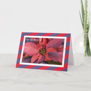 Carte de Noël Maman — Poinsettia