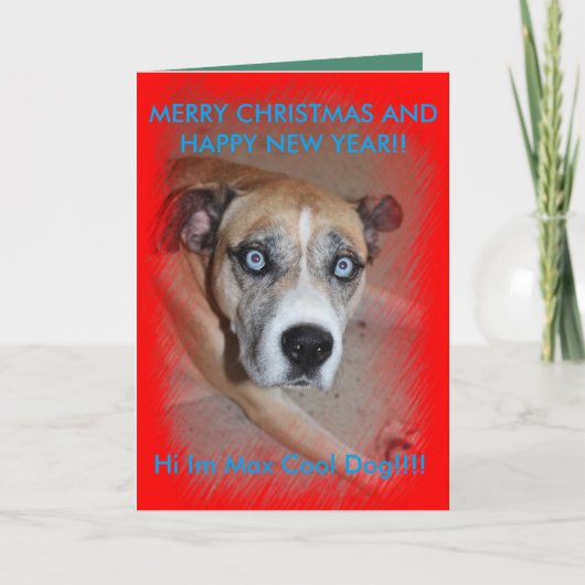 Carte de Noël Max Pet Dog (Devant)