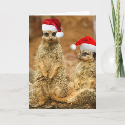 Carte de Noël Meerkat (Devant)