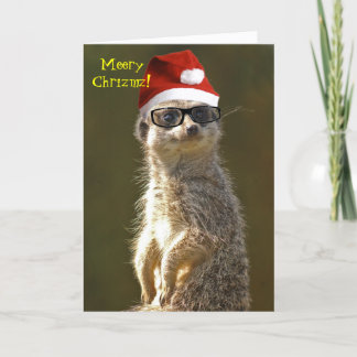 Carte de Noël Meerkat