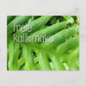 Carte de Noël Mele Kalikimaka Joyeux Noël (Devant)