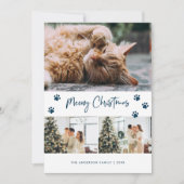 Carte de Noël Meowy du propriétaire du chat bleu (Devant)