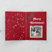 Carte de Noël mignonne avec Basset, Sucre de canne (Intérieur)