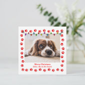 Carte de Noël mignonne avec photo et pattes person (Debout devant)