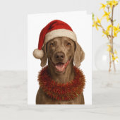 Carte de Noël mignonne de Weimaraner (Fleur jaune)