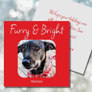 Carte de Noël minimaliste pour animal de compagnie