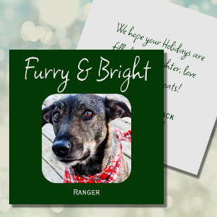 Carte de Noël minimaliste pour animal de compagnie