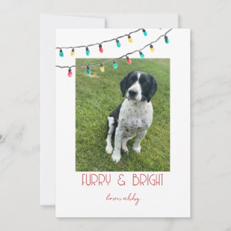 Carte de Noël minimaliste pour animaux de compagni