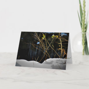 Carte de Noël "Minnesnowta invisible"